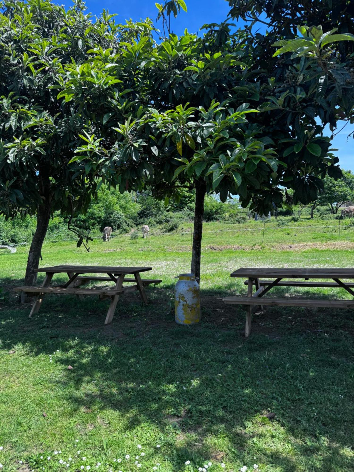 Agriturismo La Betulla Brezzo Buitenkant foto