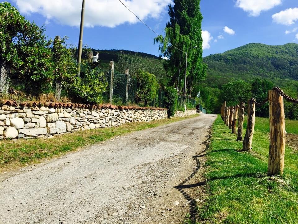 Agriturismo La Betulla Brezzo Buitenkant foto