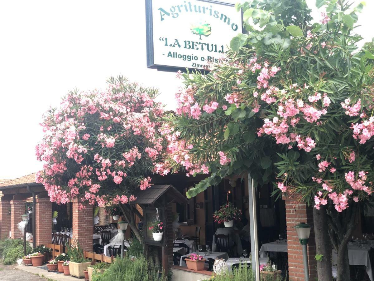 Agriturismo La Betulla Brezzo Buitenkant foto